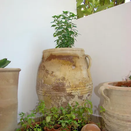 מלון דירות Diamond &