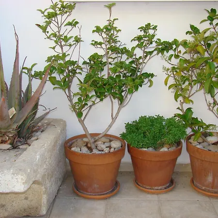 Diamond & Aparthotel 3*